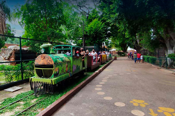 Parque el Centenario